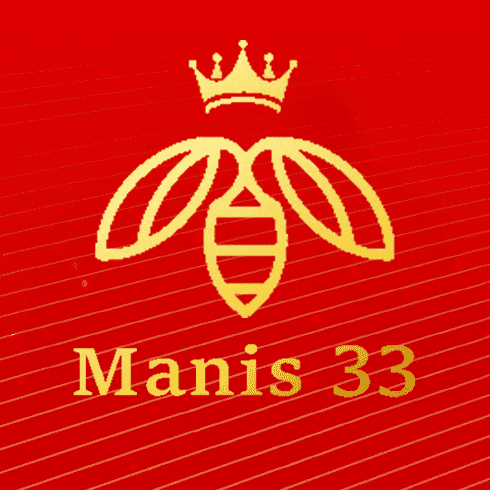manis33 logo